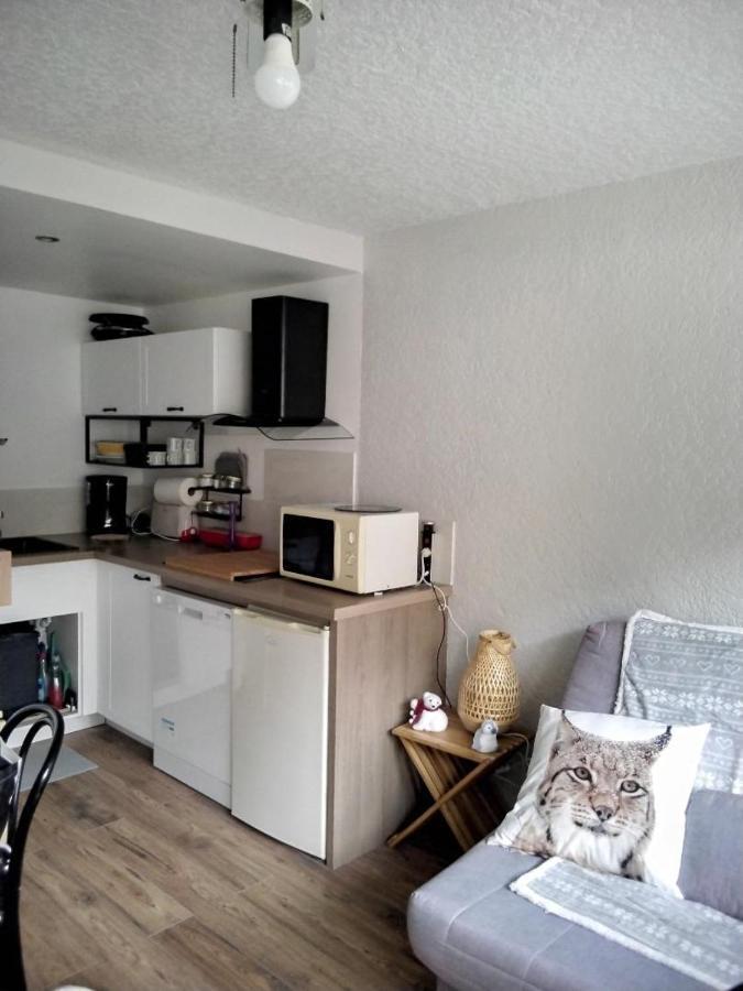 Apartament Saint Lary Ski, Rando, Thermes, Balades Et Repos ! Zewnętrze zdjęcie